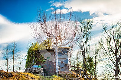 Camouflaged hunting cabin Stock Photo