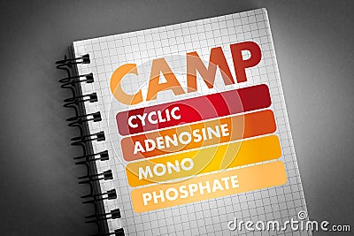 CAMP acronym, medical concept background Stock Photo