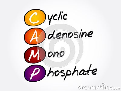 CAMP - Cyclic Adenosine MonoPhosphate acronym, concept Stock Photo