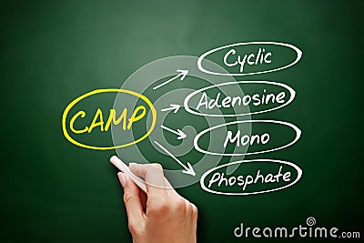 CAMP - Cyclic Adenosine MonoPhosphate acronym Stock Photo