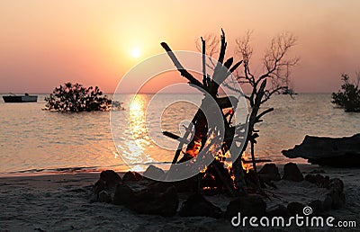 Camp fire on the beach Stock Photo