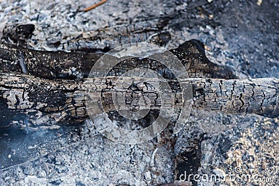 Camp fire during a hiking trip. Burning wood in a campfire. Glowing coals and the texture of burnt wood Stock Photo
