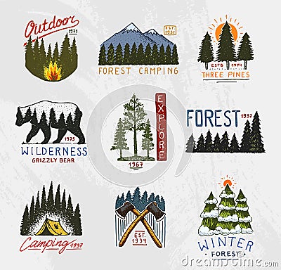 Camp logo, mountains coniferous forest and wooden badges. engraved hand drawn in old vintage sketch. emblem tent tourist Vector Illustration