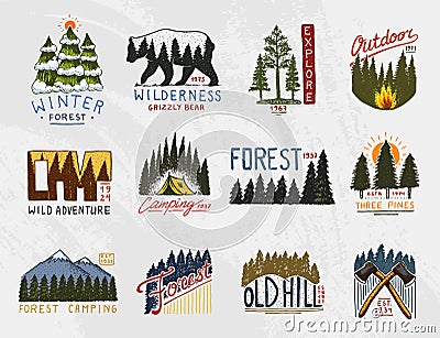 Camp logo, mountains coniferous forest and wooden badges. engraved hand drawn in old vintage sketch. emblem tent tourist Vector Illustration