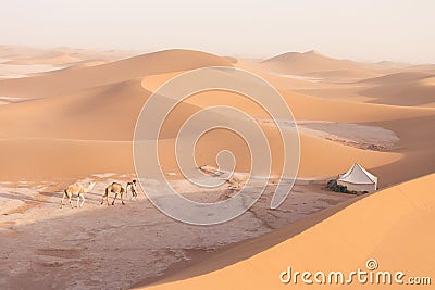 Camp with tent in the desert among sandy dunes. Sunny day in the Sahara during a sand storm in Morocco Stock Photo