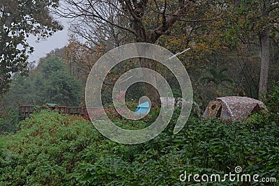 Camp tents between green forest tree at Khun Than National Park in Lampang Province Stock Photo