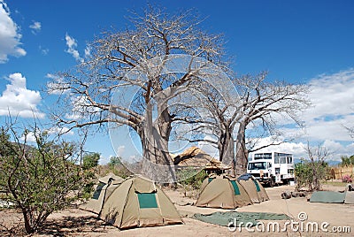 Camp under an African baobab tree Stock Photo
