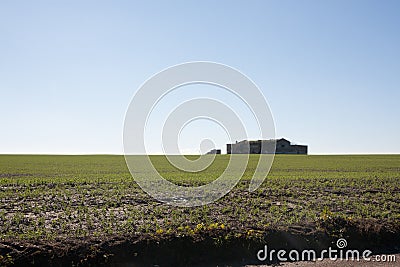 Campaign, an open field, hills Stock Photo