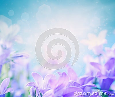 Campanula floral background Stock Photo