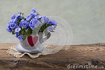 Campanula flowers Stock Photo