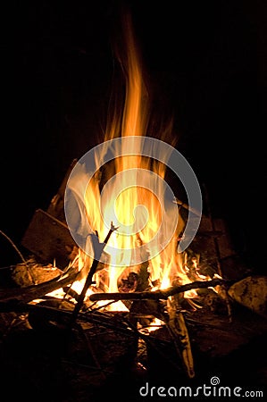 Campfire Stock Photo