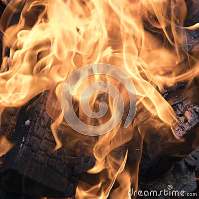 Campfire with blazing fire flames, burnt firewoods and smoke closeup Stock Photo