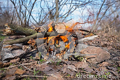 Campfire, close up, burns in the hearth from the collected stone Stock Photo