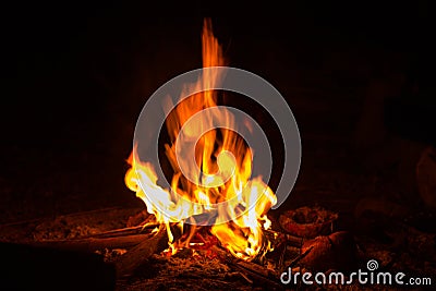 Campfire Stock Photo