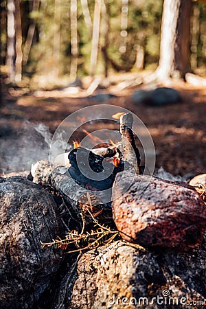 Campfire in the forest a sunny day Stock Photo