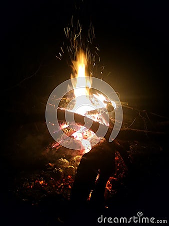 Campfire Stock Photo