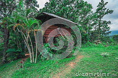 Campground in rainforest in the mountains, rain clouds in jungle Stock Photo