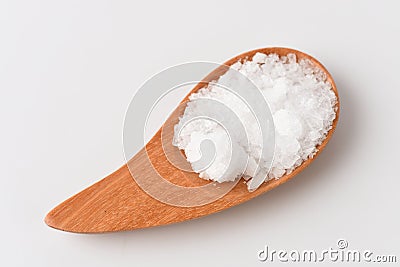 Camphor (Cinnamomum camphora (L.) JS Presl). Stock Photo