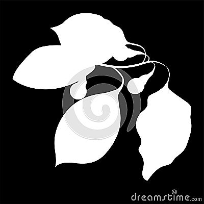 Camphor Tree, isolated logo icon. white silhouette. Vector Cartoon Illustration