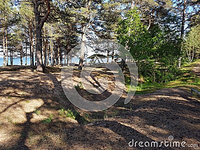 Camping, beach, sea, rocks, shore, forest, woods Stock Photo