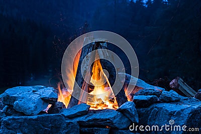 Camping bonfire with yellow and red flames in summer, forest. Copy space Stock Photo