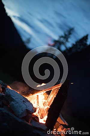 Camping bonfire with yellow and red flames in summer, forest. Copy space Stock Photo