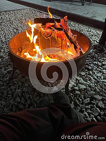 Camping campfire with fir wood Stock Photo