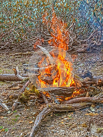 Camping fire Stock Photo