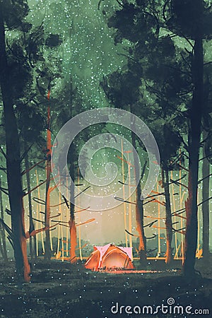 Camping in forest at night Cartoon Illustration