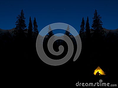 Camping at Night in Glowing Tent Pine Trees Wilderness Darkness Stock Photo