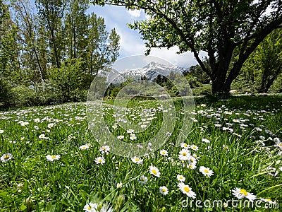 Camping, promenade and mountaineering activities region with its magnificent view and wonderful nature from the most beautiful Stock Photo