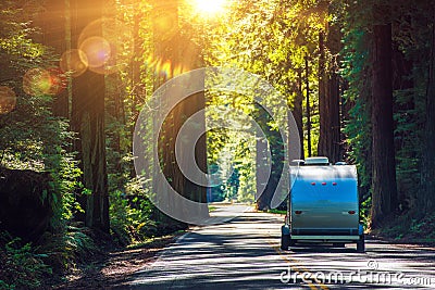 Camping in Redwoods Stock Photo