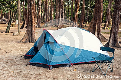 Camping Tent and Resting Chair at Campsite on Nature Pine Forest Background, Family Vacation and Outdoor Leisure Activity Camp Stock Photo