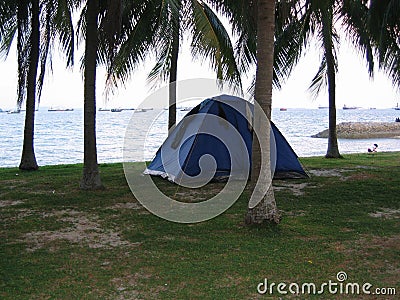 Camping tents among coconut trees Stock Photo