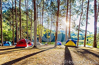 Camping tents under pine trees with sunlight at Pang Ung lake, Mae Hong Son in THAILAND Stock Photo