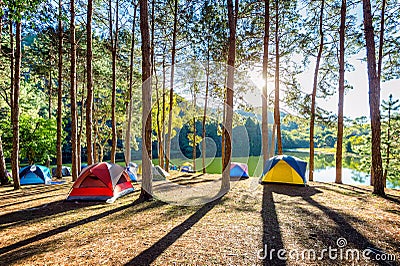 Camping tents under pine trees with sunlight at Pang Ung lake, Mae Hong Son in THAILAND Stock Photo