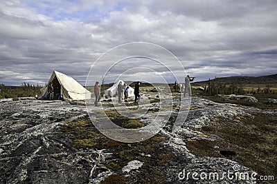 Camping in the tundra Editorial Stock Photo