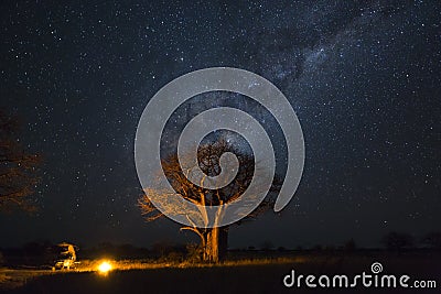 Camping under baobab`s and milkyway Stock Photo