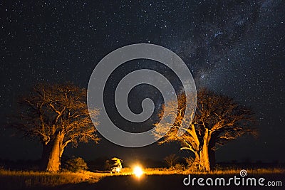 Camping under the milky way between baobab`s Stock Photo