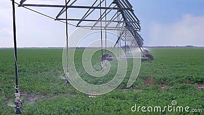 Campo agricolo, acqua di spruzzatura dello spruzzatore industriale su terra con il raccolto del seme di ravizzone video d archivio Campo agricolo, acqua di spruzzatura dello spruzzatore industriale su terra con il raccolto del seme di ravizzone video d archivio