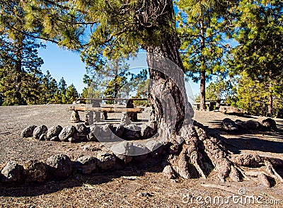 Campsite on the southern slopes of Teide Stock Photo