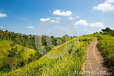 Campuhan Ridge Walk Stock Photo