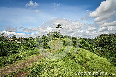 Campuhan Ridge Walk, Ubud, Bali, Indonesia Stock Photo