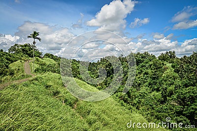 Campuhan Ridge Walk, Ubud, Bali, Indonesia Stock Photo