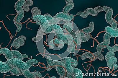 Field of Campylobacter jejuni bacterias top view 3d render illustration Stock Photo