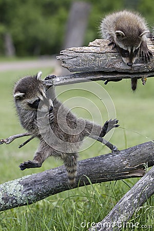 We can do this Stock Photo