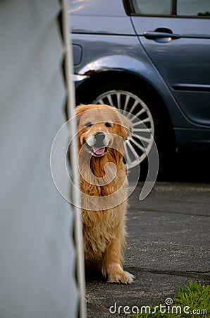 Can I go with you ? Stock Photo