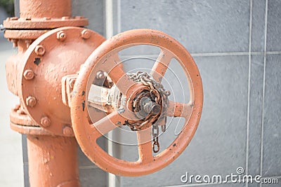 Old metal gate ,painted with the peach paint in the city. Stock Photo