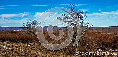 Canaan valley west virginia Stock Photo