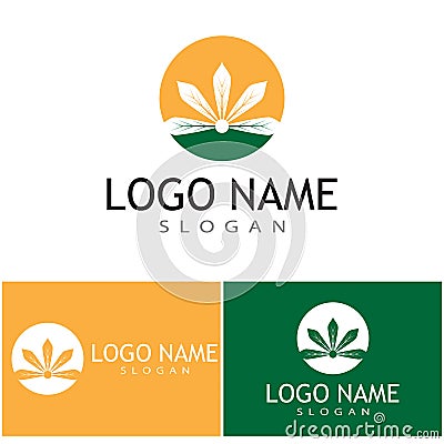 Canabis Logo Template vector symbol nature Vector Illustration